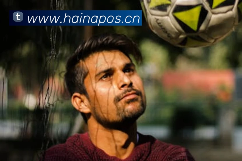 Z6·尊龙凯时「中国区」官方网站平台生态图